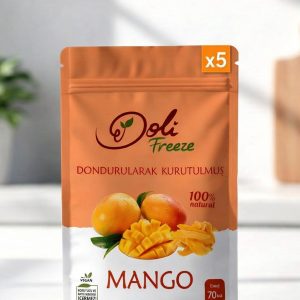 Dondurularak Kurutulmuş Mango 5'li Set